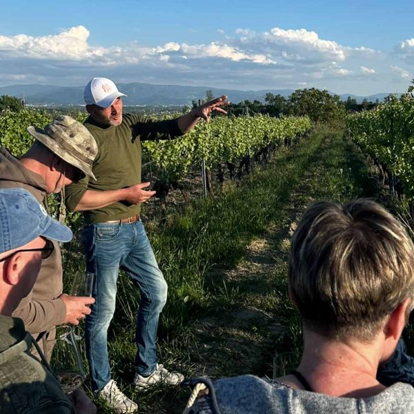 Rebenbesichtigung Weingut Marion Boos